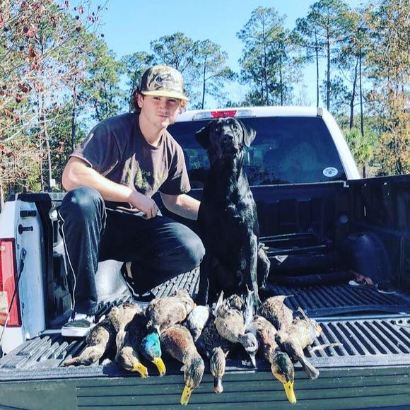 Meet your Posher, Ricky - Picture 1 of 1